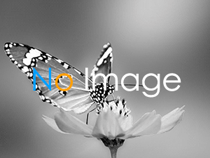 ブログDemo03のSEO対策用Titleの画像